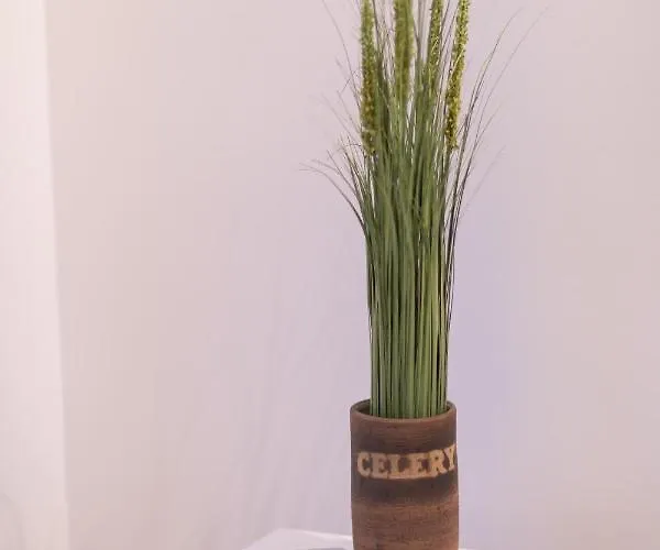 Revalia Lastekodu Bus-station Airport Apartament Tallin